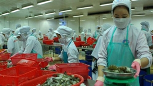 Vietnamese exports to Russia enjoy advantages